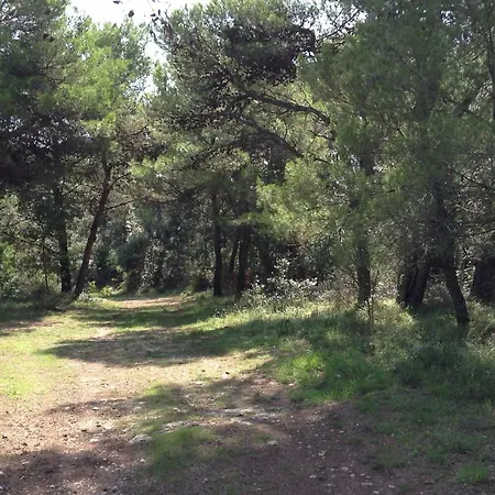 Casa Isabella Apartamento Pula